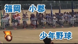 一生懸命！！福岡県小郡市の少年野球(baseball)大会！！