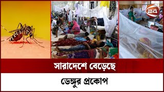 সারাদেশে বেড়েছে ডেঙ্গুর প্রকোপ | Dengue | Dengue Problem | Jhenaidah | Channel 24