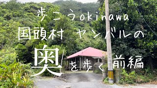 【沖縄164】国頭村 1  ヤンバルの自然に囲まれた奥（おく）集落を歩きます#okinawa #japan #沖縄