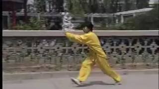 山西形意 岳式連拳 八翻手 Shanxi Xingyi Quan Yue Shi Lian Quan Ba Fan Shou