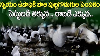 స్వ‌యం ఉపాధిగా పాల పుట్ట‌గొడుగుల పెంప‌కం | Organic Milky Mushroom Cultivation | Mushroom Farming