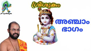 ഭാഗവത പ്രവേശിക അഞ്ചാം ഭാഗം 🙏 || ശ്രീ കൃഷ്ണാർപ്പണം || പാവുമ്പ രാധാകൃഷ്ണൻ ||