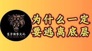 为什么一定要想方设法逃离底层，真相让你醍醐灌顶！ #智慧 #人生感悟 #思考 #正念 #自我成長 #逆袭 #赚钱