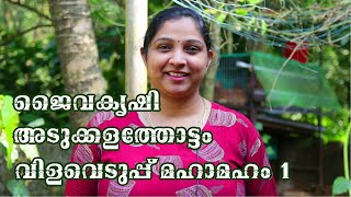 Farm | Organic Farming and Cultivation in Kerala | ജൈവകൃഷി അടുക്കളത്തോട്ടം വിളവെടുപ്പ് മഹാമഹം 1