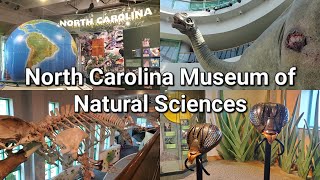 North Carolina Museum of Natural Sciences | Raleigh