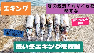 【エギング】渋いアオリイカの攻略方法！デカイカ奮闘物語！ハプニング多数！#fishing #釣り #エギング #アオリイカ