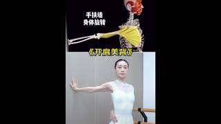 改善圆肩驼背 #ballet