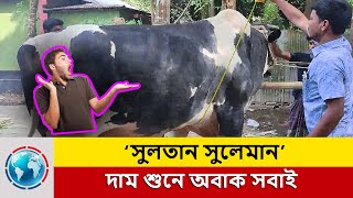 কোরবানির হাটে ওঠার আগেই চারদিকে হৈচৈ ফেলে দিয়েছে ‘সুলতান সুলেমান’ | Qurbani Big Cow | Sonali News