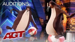 Sethward Returns As A Walrus And Falls Off Stage - America's Got Talent 2019