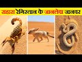 सहारा के रेगिस्तान में पाए जाने वाले जानवर | Animals Found in Sahara Desert