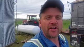 Drying Barley grain Harvest 2016