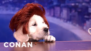 Presenting "Puppy Conan" | CONAN on TBS