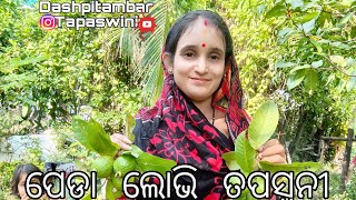 ପେଡ଼ା ଲୋଭି ତପସ୍ୱନୀ 🌳🌴#dashpitambartapaswini