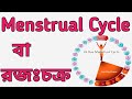 রজঃচক্র  বা Menstrulation Cycle