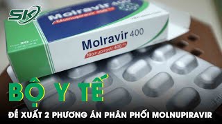 Bộ Y Tế Đề Xuất 2 Phương Án Phân Phối Molnupiravir Đến Người Dân | SKĐS