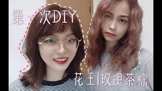 【漫笙】DIY染头初体验|花王-玫瑰茶棕|全美妆区最秃的UP主