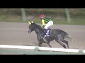 第33回 ダービーグランプリ◆r2（2020 10 04）