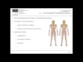 [Webcast] - Investigation of muscle activation during active seating