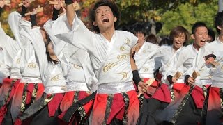 20151101【ＨＤ・原画４Ｋ】ドリーム夜さ来い祭り2015（千葉工業大学よさこいソーラン風神・ダイバーシティ東京会場）