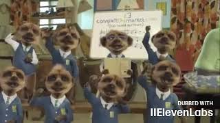 Compare The Meerkat: Gemeinsam singen