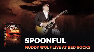 Joe Bonamassa Official - "Spoonful" - Muddy Wolf at Red Rocks