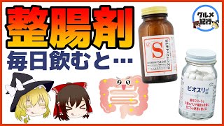 【ゆっくり解説】整腸剤を毎日飲むと…整腸剤は食べ物！？ビオフェルミンとビオスリーの違いについて！