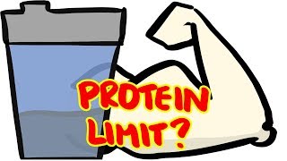 How Much Protein Can Your Body Absorb Per Meal?