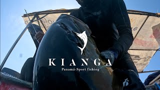 Part 8 Kianga Panamá spearfishing 2024 Hannibal Bank   - Kianga Pescasubmarina Panamá parte 8