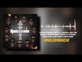 iHulumende (official audio)