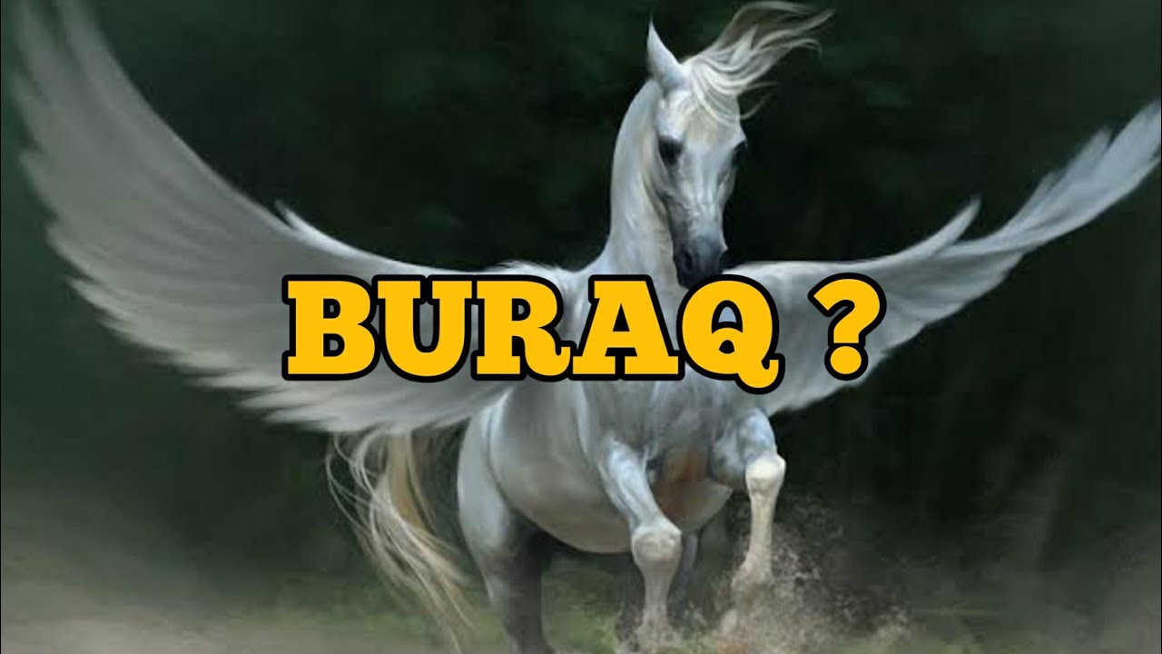 Inikah Wujud Sosok Buraq ? - YouTube