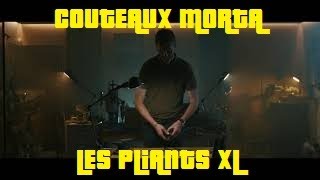 Couteaux Morta Massif pliants XL