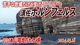 ぐぅ、いろいろ頑張る！／山陰地方わんこ旅（その4）須佐ホルンフェルス（山口）／2024春#04／大型犬散歩