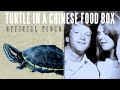 Charlie Peacock - Turtle in a Chinese Food Box (Music Video)