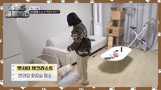 [애니피플] 반려동물 A to Z! 육아의 달인?! [동물은 훌륭하다] | KBS 250210 방송