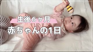 [生後６ヶ月]赤ちゃんの1日　寝返り防止クッションを買ってみた結果　旦那さんの転職、出張そんな時嫁は…？