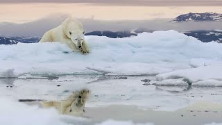Frozen Planet II | Official Trailer | New Attenborough Series | BBC Studios