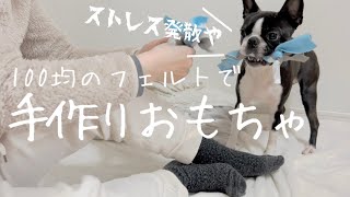 ストレスが溜まった愛犬に〜手作りおもちゃの作り方〜ボストンテリアのぼんちゃんです🐶