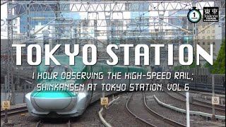 【1-hour Observation】JR-EAST North and East bound High-Speed Rail at Tokyo Sta. Vol.6