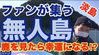 #019 都内から日帰りで行ける静岡県の無人島”淡島”