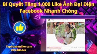 Bí Quyết Tăng Like Ảnh Đại Diện Trên Facebook || Tăng Like Avatar Facebook Taphoabanlike