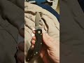 spyderco cat in bd1n. one of the most underrated spydercos to date. i love it. spyderco