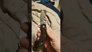 Spyderco Cat in BD1N. One of the most underrated Spydercos to date. I love it. #spyderco