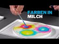 Farbenspiele in Milch - Mitmach-Experiment