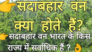 सदाबहार वन क्या होते हैं | सदाबहार वन किस राज्य में सबसे अधिक हैं Sadabarar सदाबहार Geography Forest