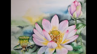 연꽃을 수채화로! lotus watercolor 수채화 초보가 그린 그림