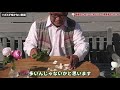 【バラの育て方】秋のバラ管理のコツ♪花が開きにくい！？そんな品種でも美しく咲かせる方法！