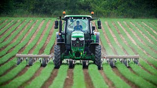 LA BINEUSE BINNOVE brevetée ! INTERVIEW d'Hugo Baty, agriculteur en Charente Maritime (17, France)