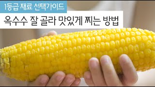 [재료고르기] 알이 꽉 찬 옥수수 잘 골라 맛있게 찌는 방법 How to pick tasty corn?