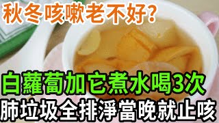 秋冬咳嗽老不好？ 白蘿蔔加它煮水喝3次， 肺部垃圾全排淨當晚咳嗽就止#養之道#健康#白蘿蔔#咳嗽