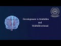 Introduction to Developmental Psychology - Theories, Examples, Topics